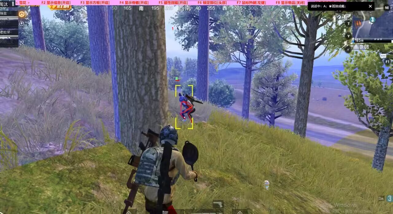 和平精英《太极》辅助